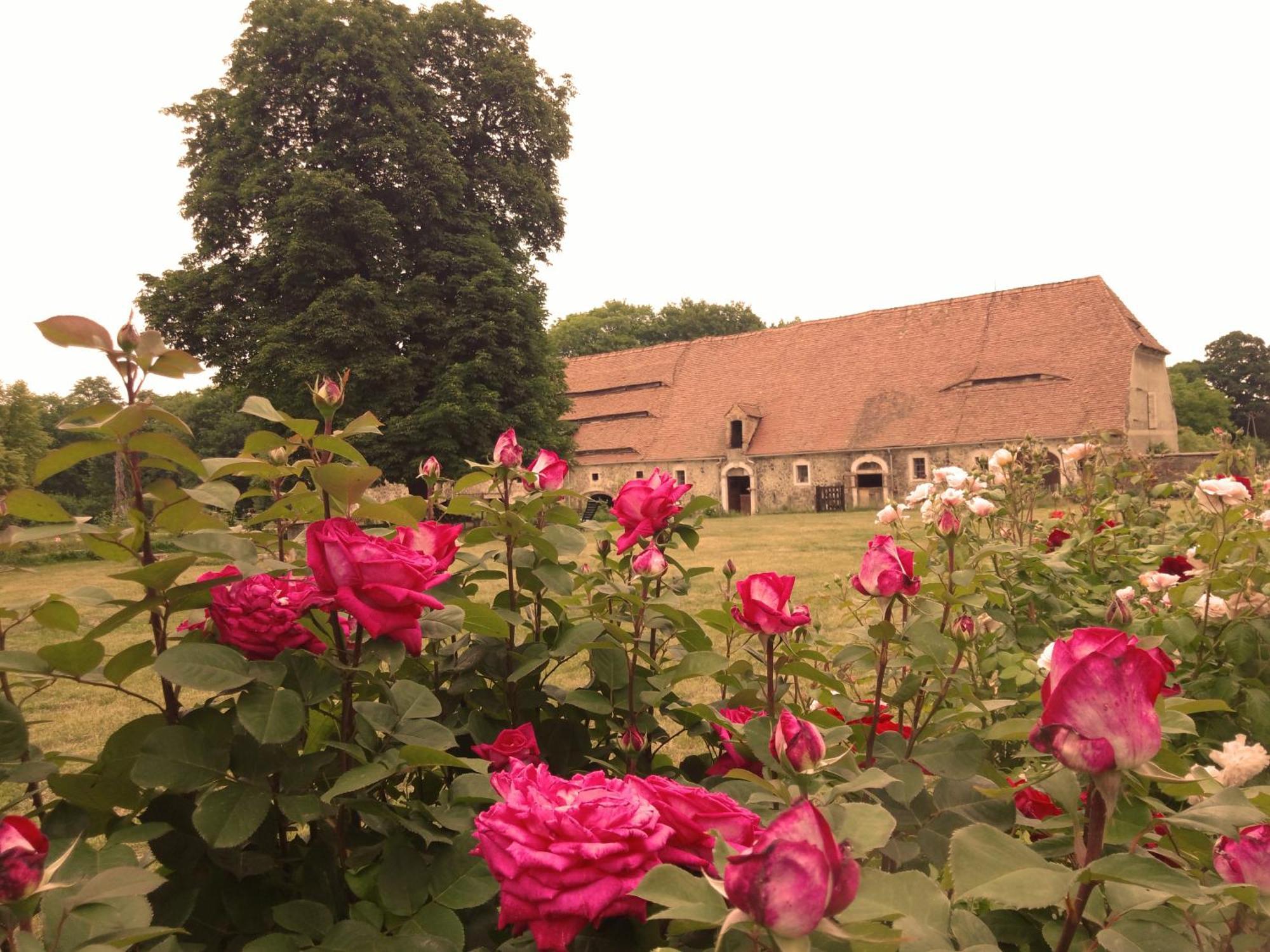 Studniska Country Estate Villa ภายนอก รูปภาพ