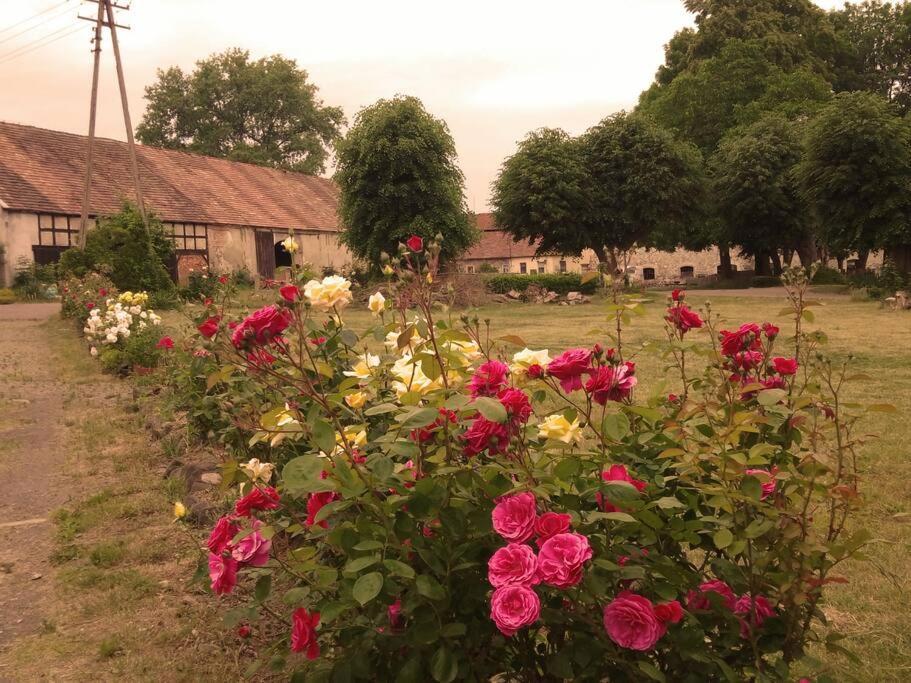 Studniska Country Estate Villa ภายนอก รูปภาพ
